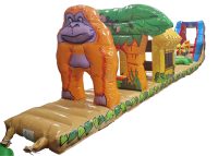 Safari Pool Inflate